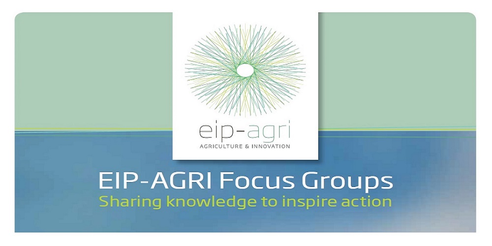 EIP-AGRI: notizie dai focus group tematici