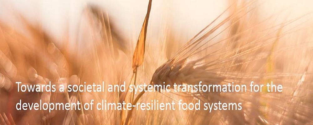 A dicembre un nuovo bando dedicato a sicurezza alimentare e agricoltura sostenibile