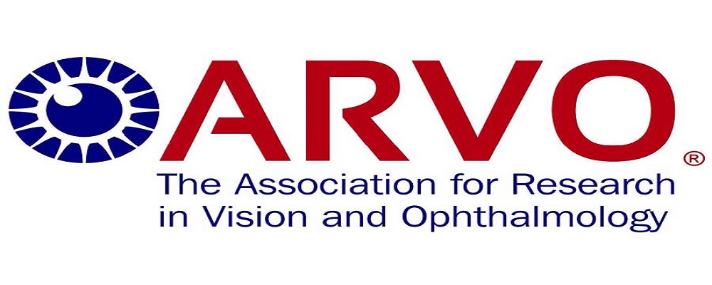 Bert M Glaser award for innovative research in retina