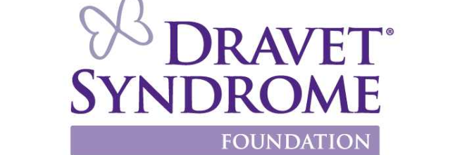 Dravet Syndrome Foudnation: research grant awards
