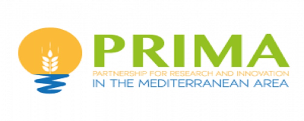 PRIMA Info Day - 17 febbbraio 2021, online