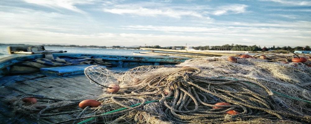 Economia blu sostenibile: nuovo bando del Fondo europeo per gli affari marittimi, la pesca e l'acquacoltura