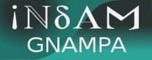 INDAM GNAMPA logo